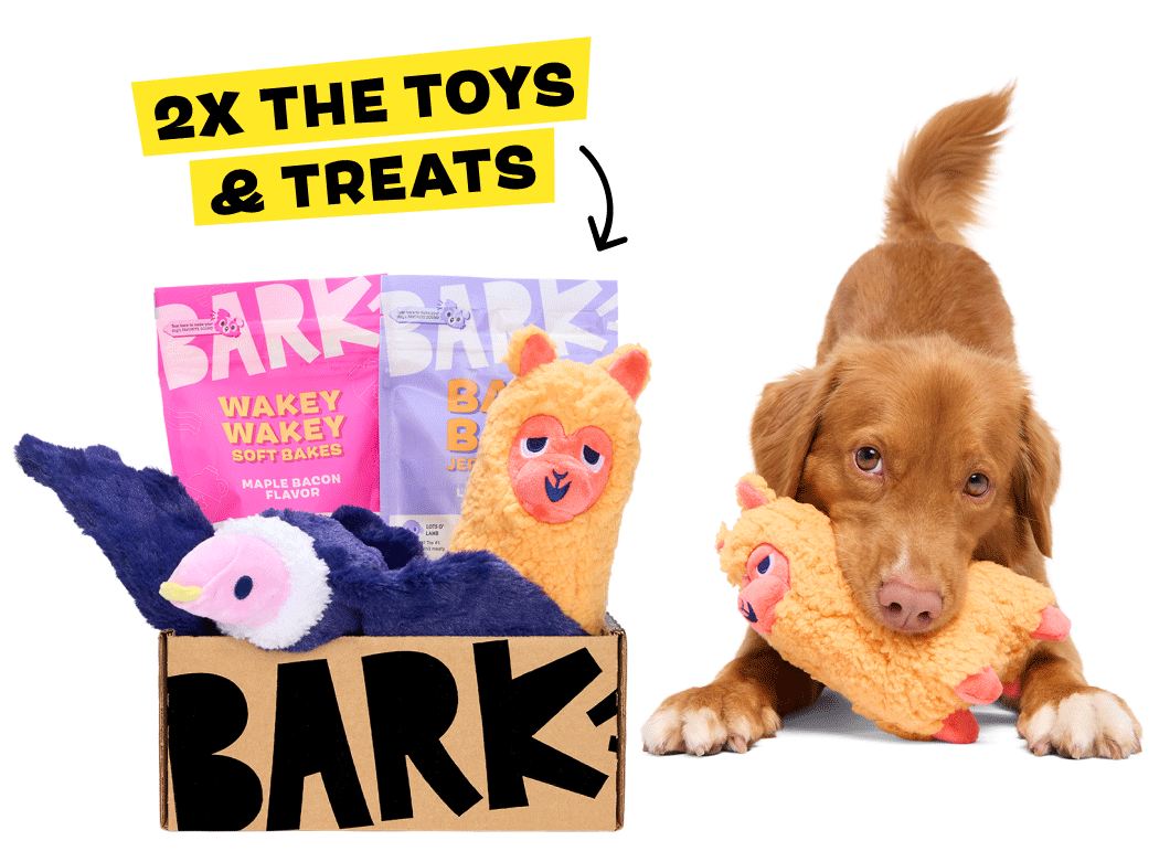 Barkbox GIF Image