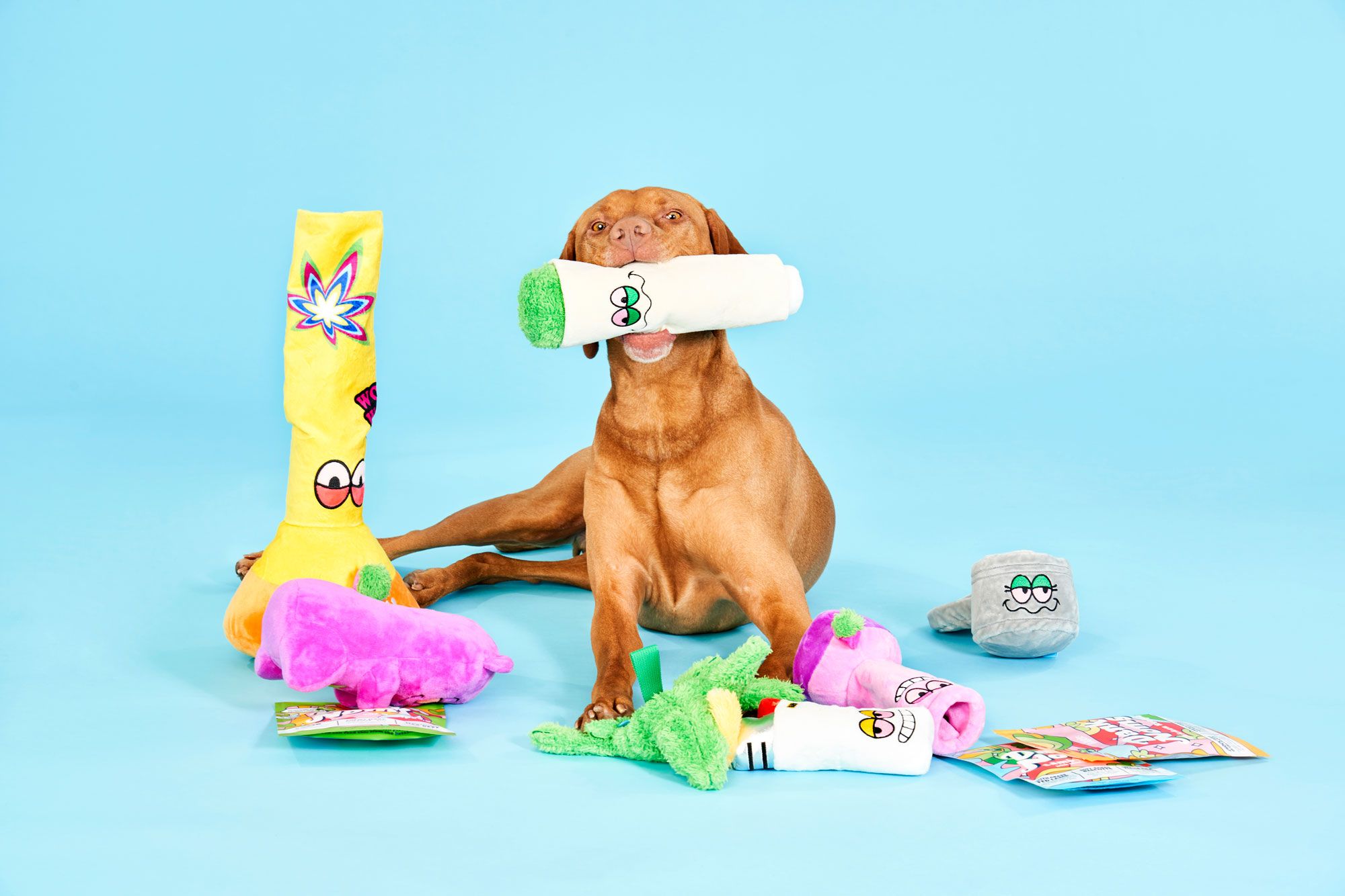 Barkbox Image 1