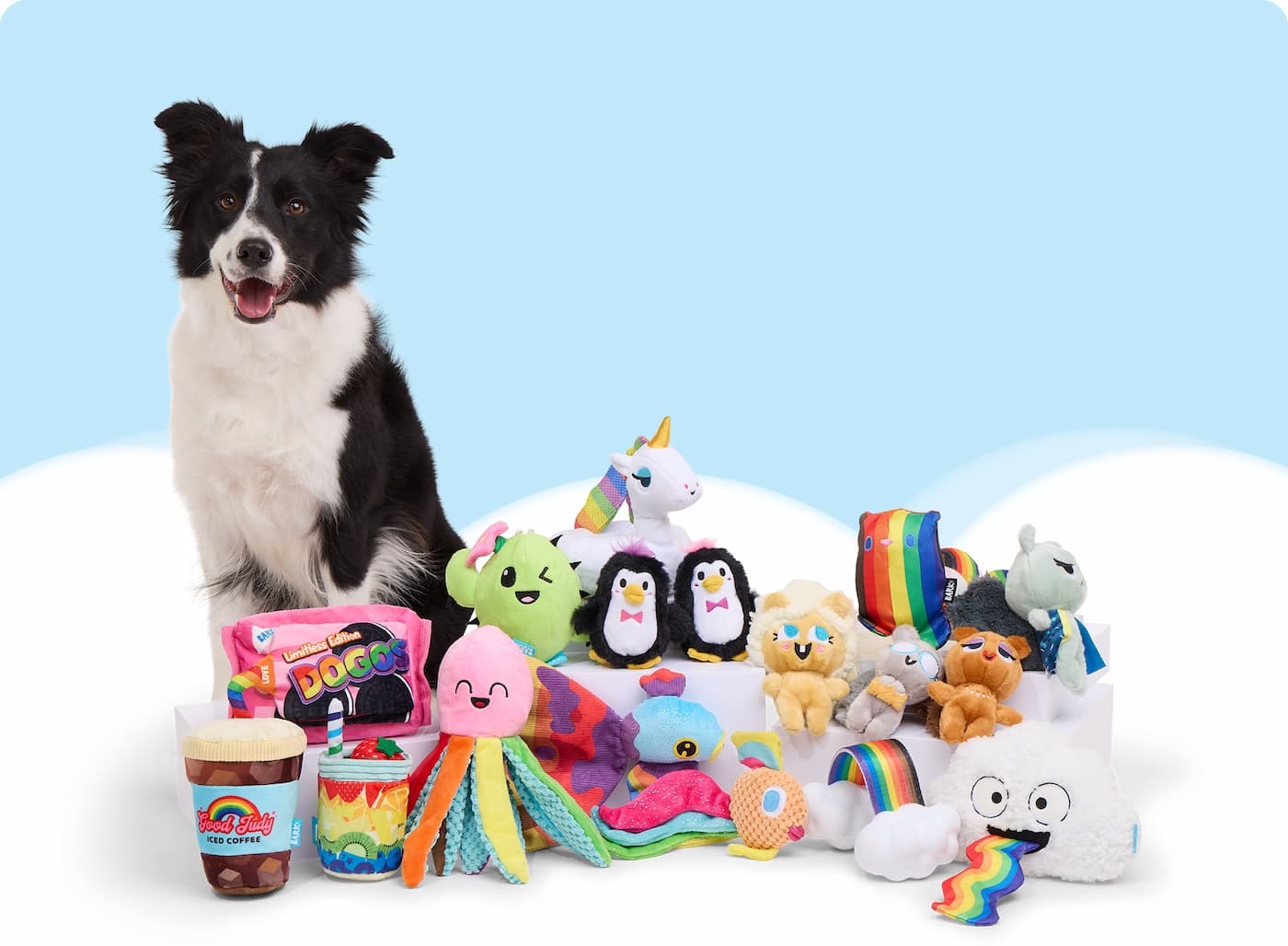 Barkbox Monthly Subscription