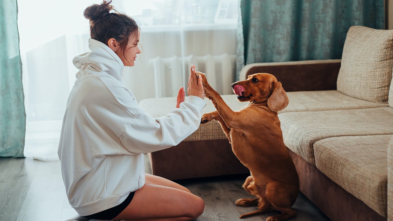 20 Items First-Time Pet Owners Recommend.