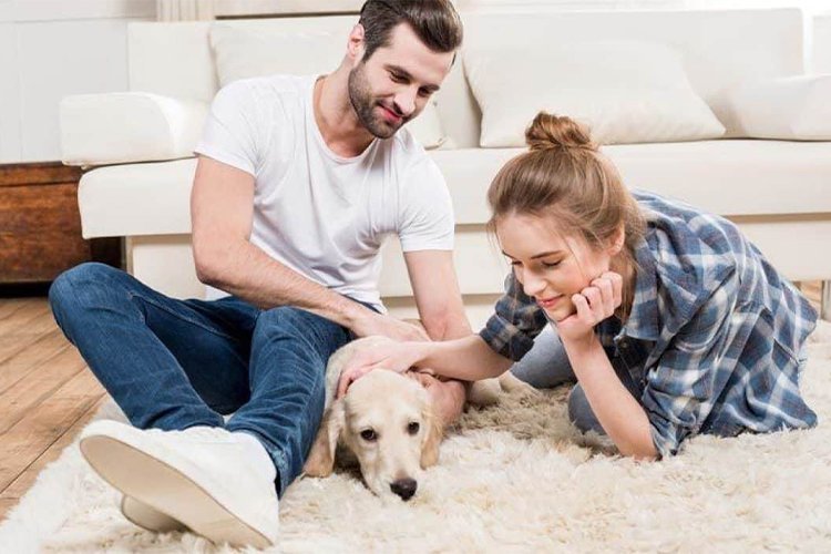 20 Items First-Time Pet Owners Recommend.