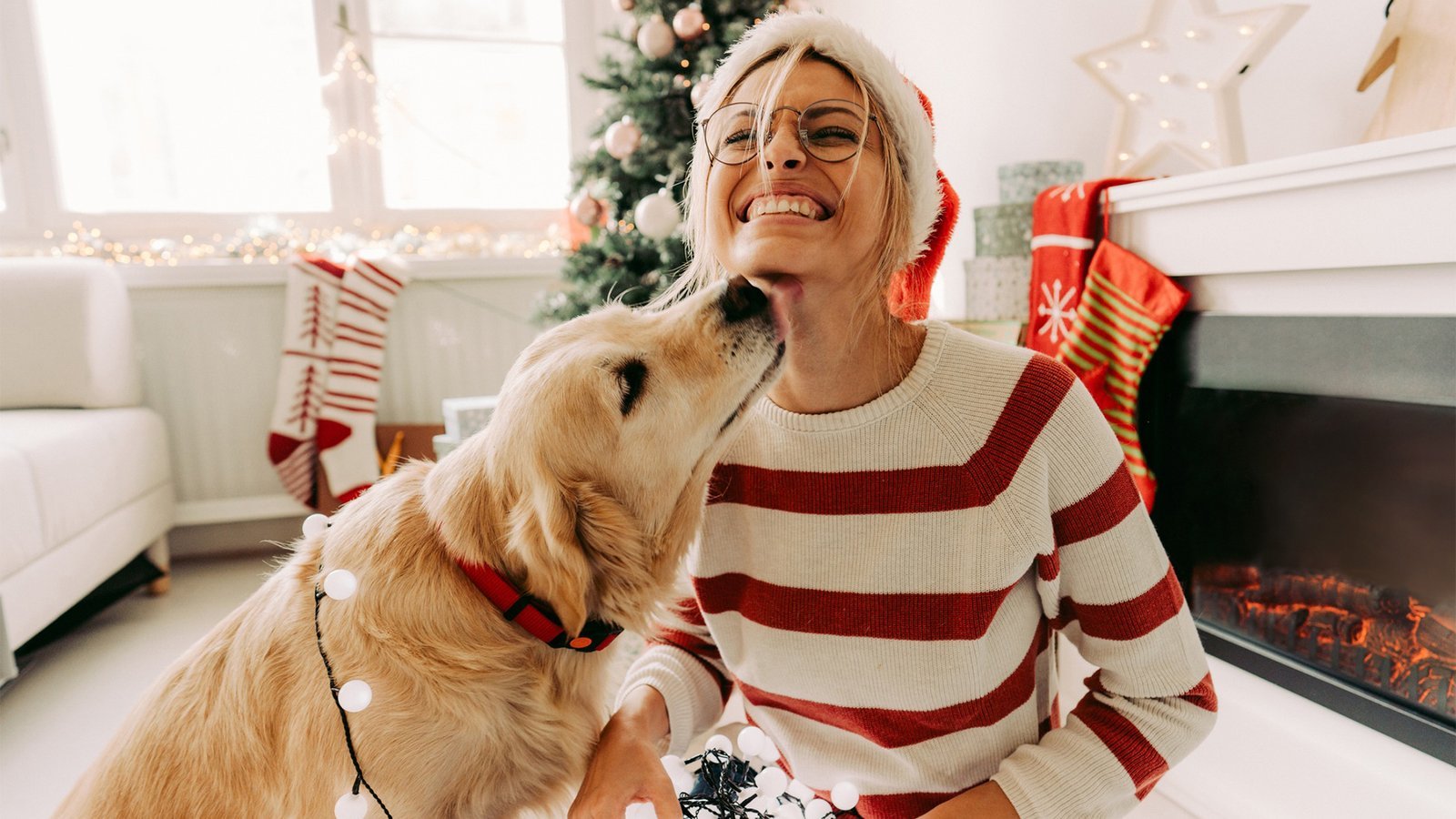 How to Safeguard Your Pet During the Holidays.