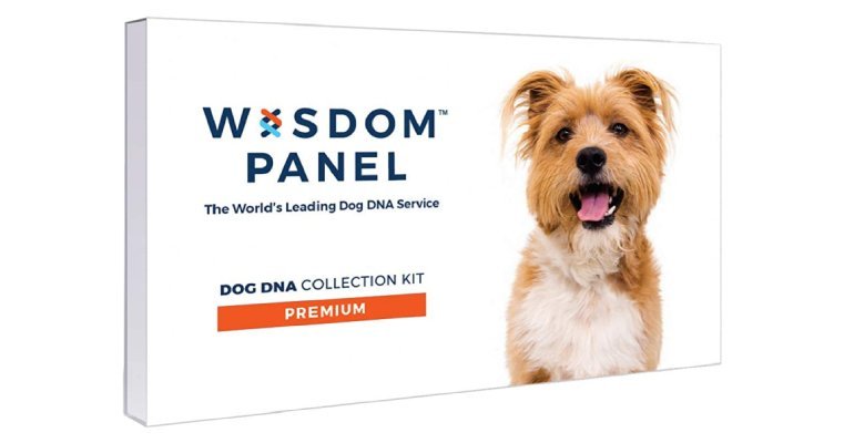 "Unleash the Power of Precision: Wisdom Panel Reveals the Secrets of Your Dog's DNA"