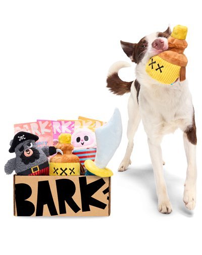 Barkbox Featured Image