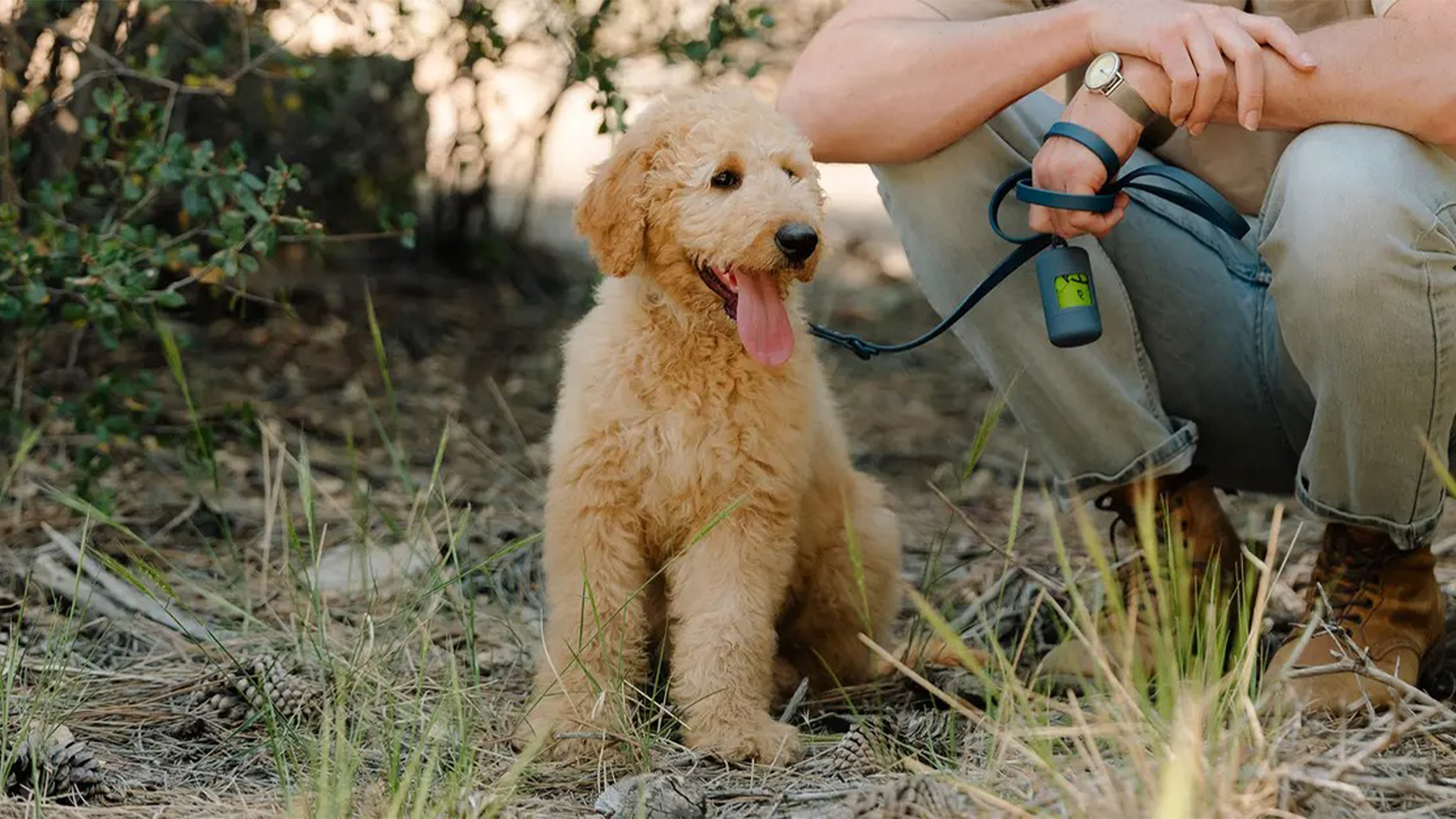 18 Items Your Pet Will Thank You For Purchasing.