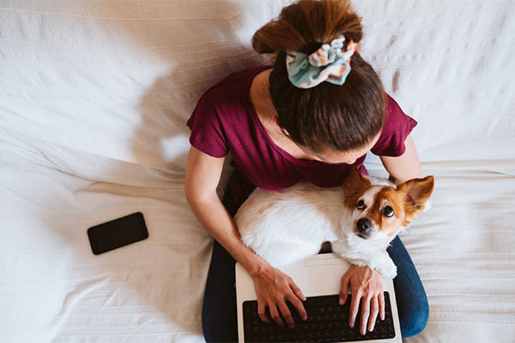 11 Dog Trends That Are Actually Worth It.