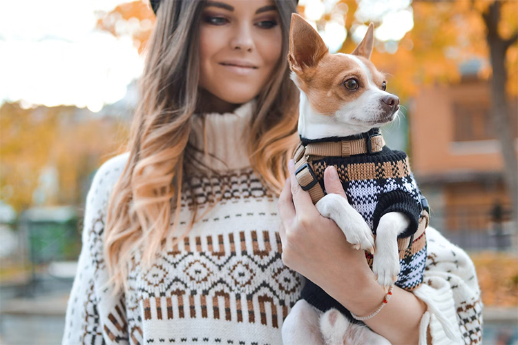 11 Dog Trends That Are Actually Worth It.