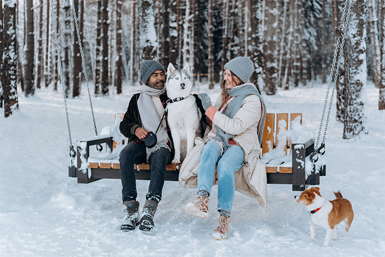 20 Interesting Justifications for Why People Adore Dogs.