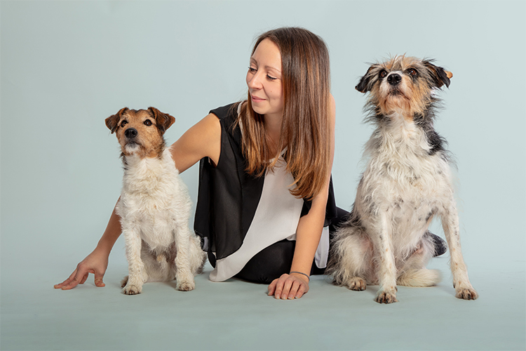 20 Interesting Justifications for Why People Adore Dogs.