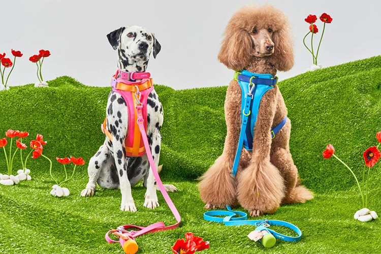 18 Items Your Pet Will Thank You For Purchasing.