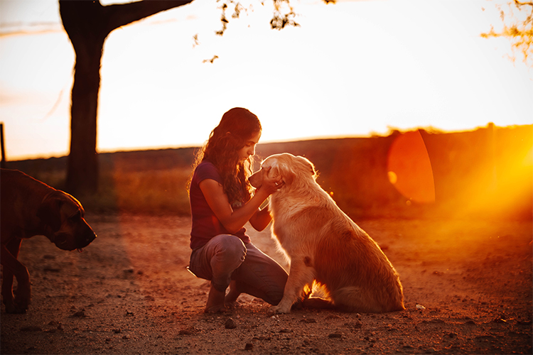 19 Free acts of kindness.