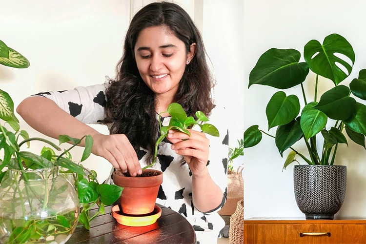 How to Grow a Garden Indoors.