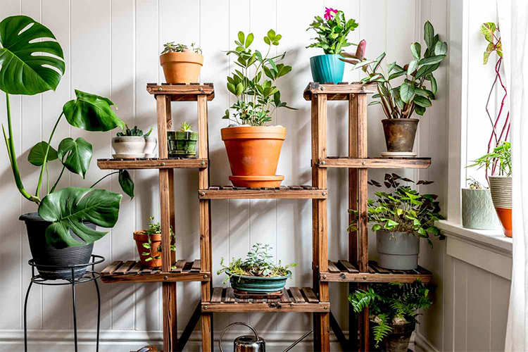 How to Grow a Garden Indoors.