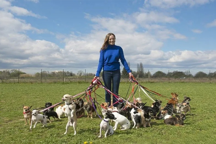 Starting a doggy daycare business requires careful planning, attention to detail, and a commitment to providing quality care to the dogs in your care. By following these tips and best practices, you can create a successful and profitable doggy daycare business that meets the needs of pet owners in your community.