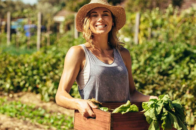 The Advantages of Organic Gardening Techniques.
