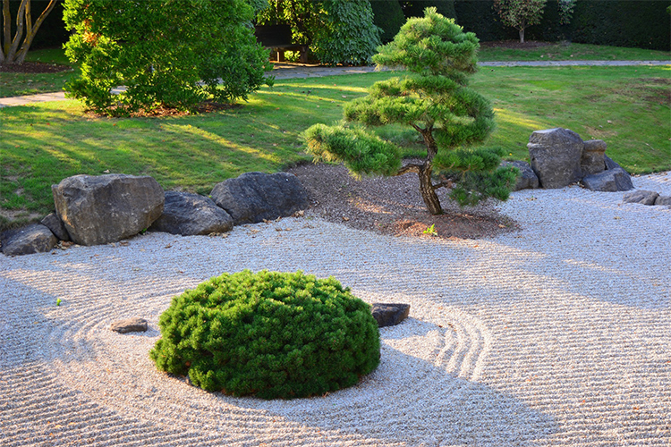 How to Make a Zen Garden for Meditation and Relaxation.