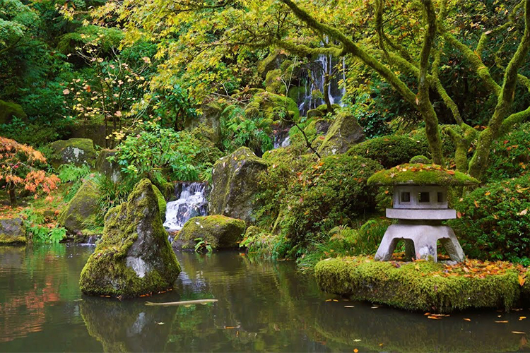 How to Make a Zen Garden for Meditation and Relaxation.