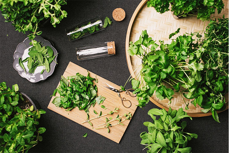 recipes that call for common herbs you may grow in your garden.
