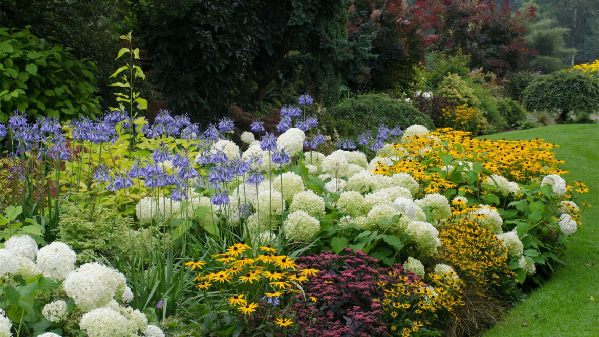 Best 15 Plants for Low-Maintenance Gardens.
