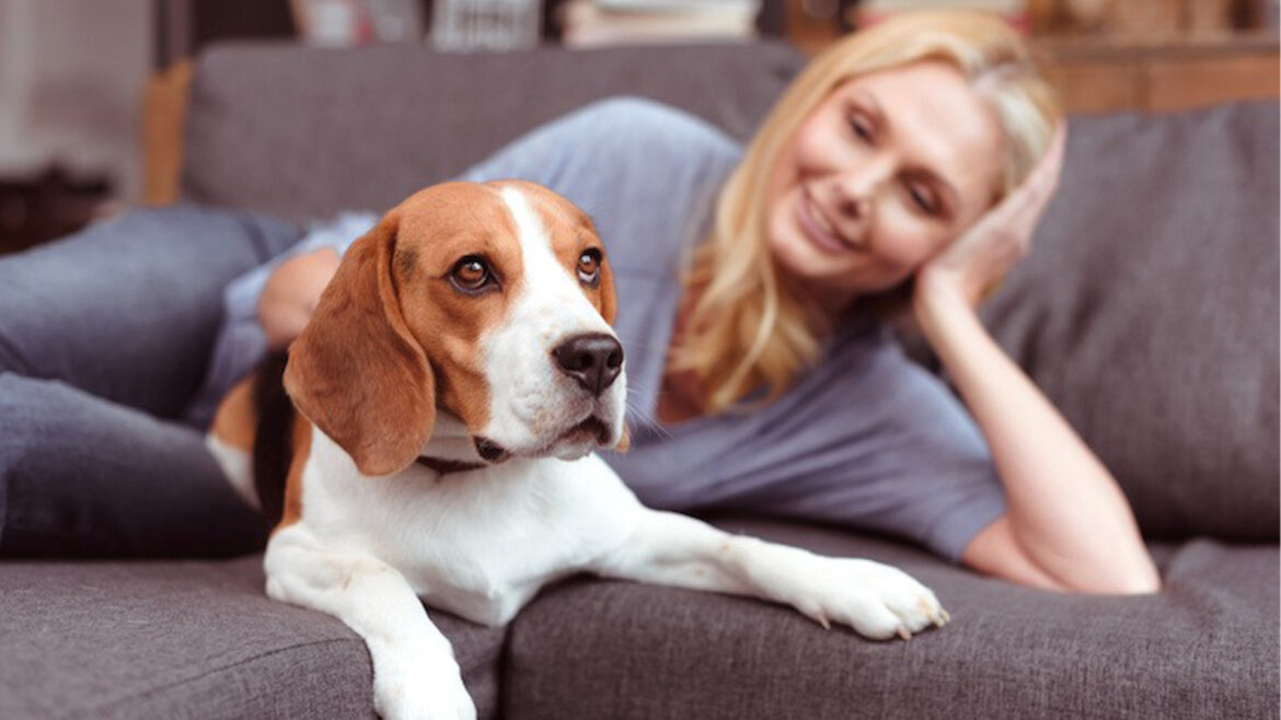 How to Choose the Best Pet Sitter for Your Dog.