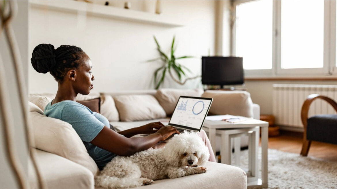 How to Create a Pet Blog that Earns Money.