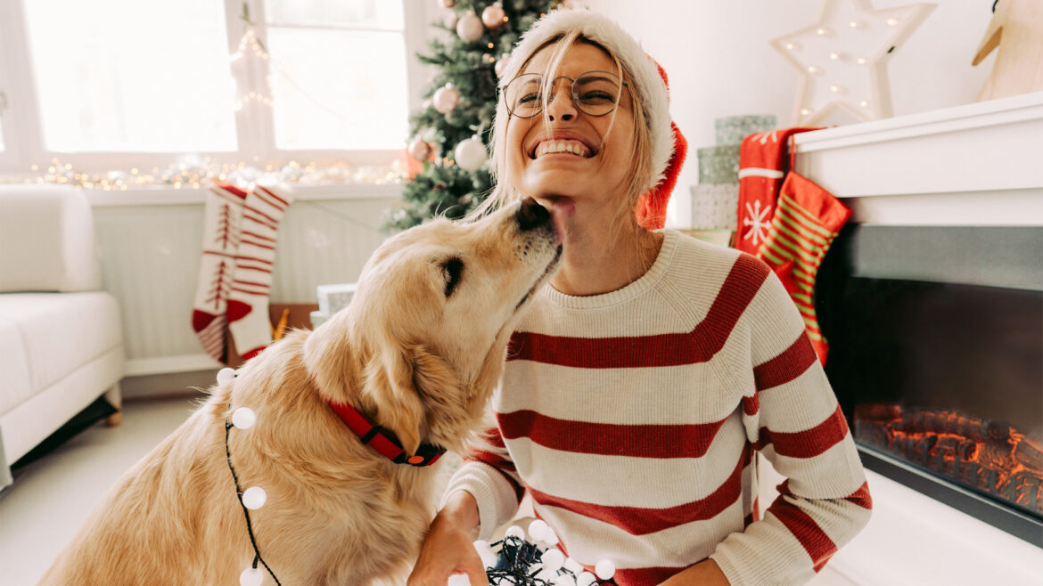 How to Safeguard Your Pet During the Holidays.