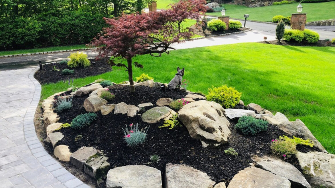 Ideas for landscaping you can do on your own