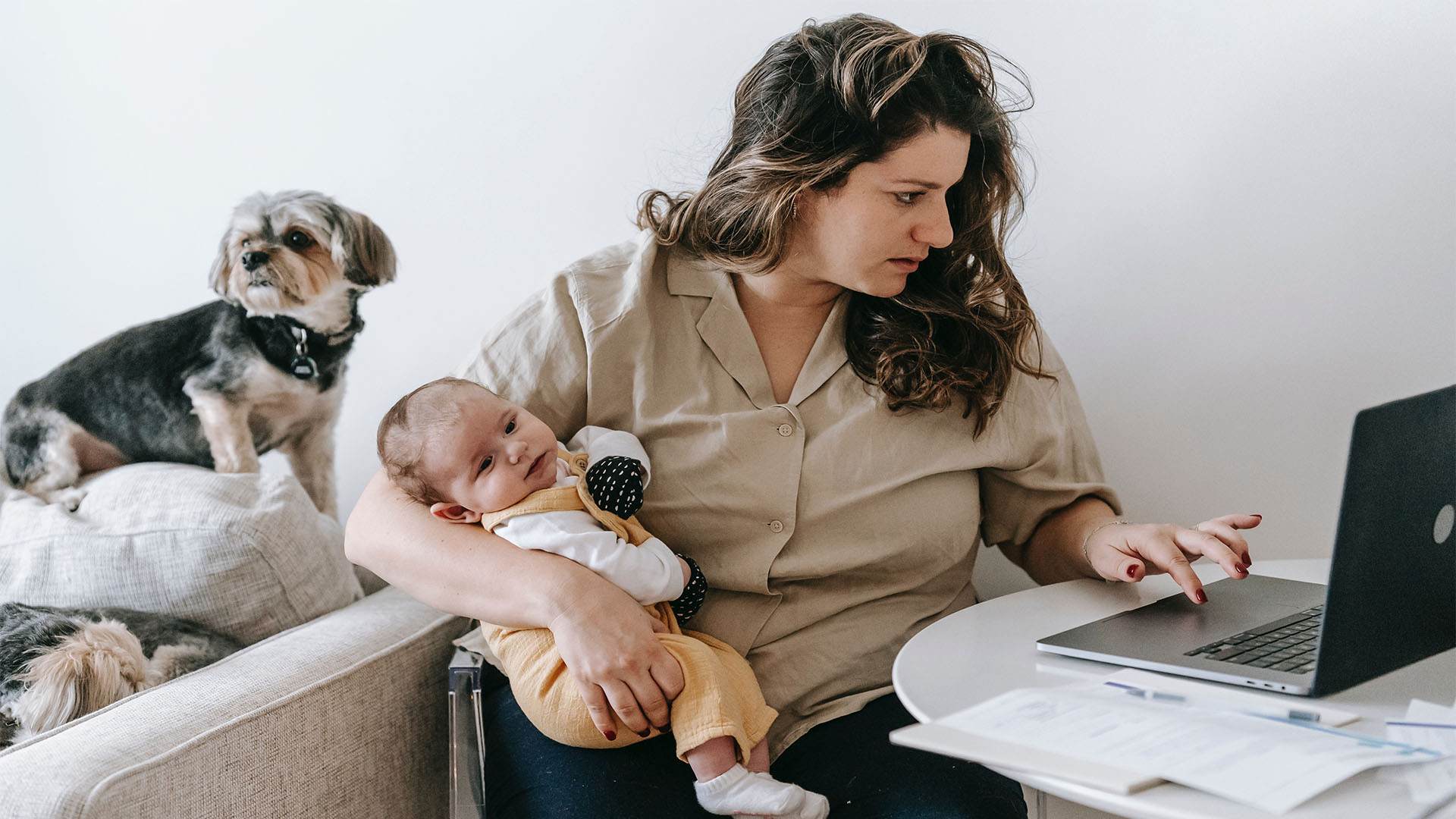 Share 15 things that you’ve learned as a pet parent.