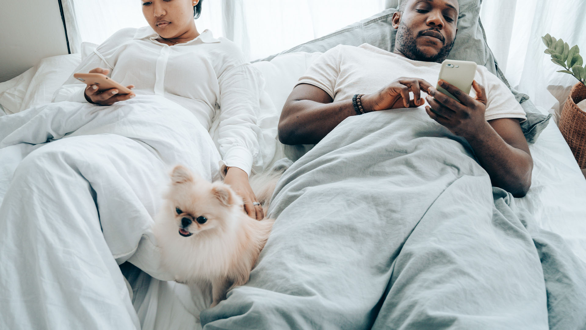 Share your pet’s quirks and silly habits.