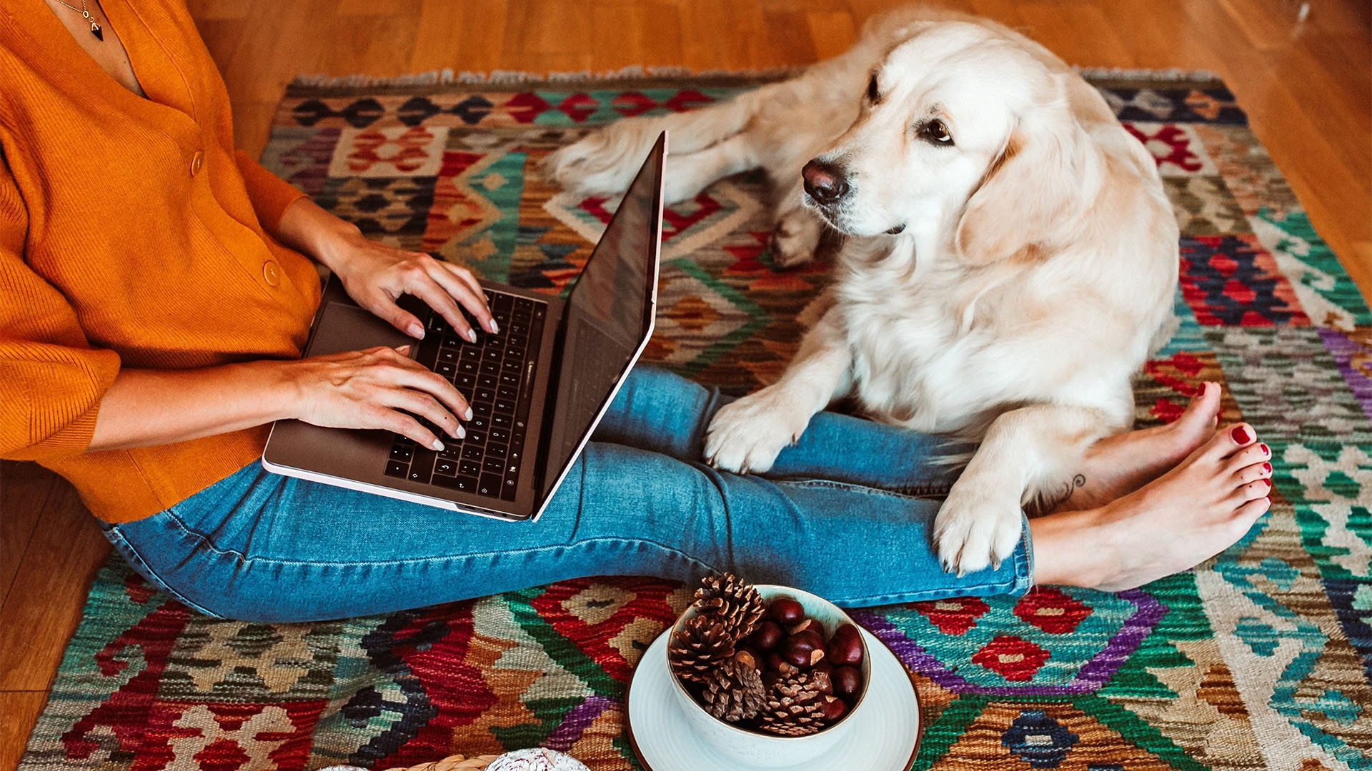 Simple Methods for Spoiling Your Pet.