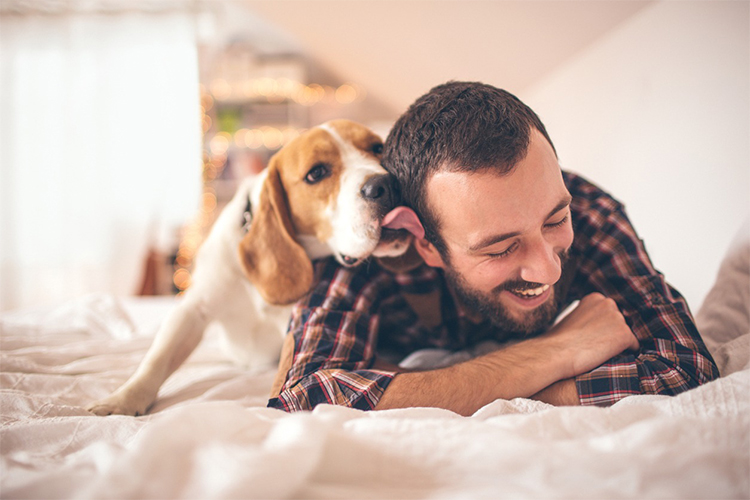 Is Your Dog Getting Stuck Near the Stove? A blog on pet security.