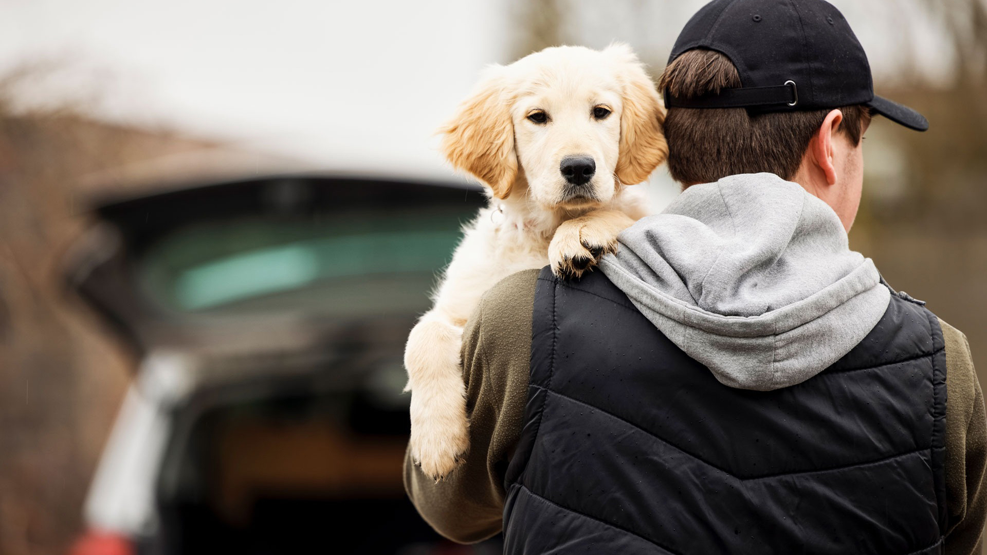 Is Your Dog Getting Stuck Near the Stove? A blog on pet security.