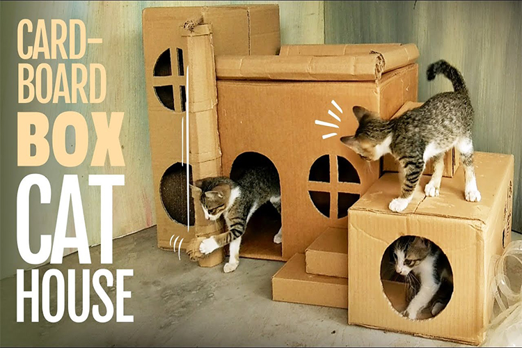 How to Convert Old Cardboard Boxes Into a Dog Bed at Home.
