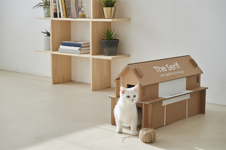 How to Convert Old Cardboard Boxes Into a Dog Bed at Home.