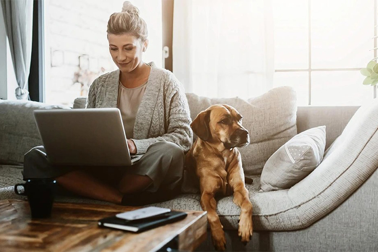 How to Create a Pet Blog that Earns Money.