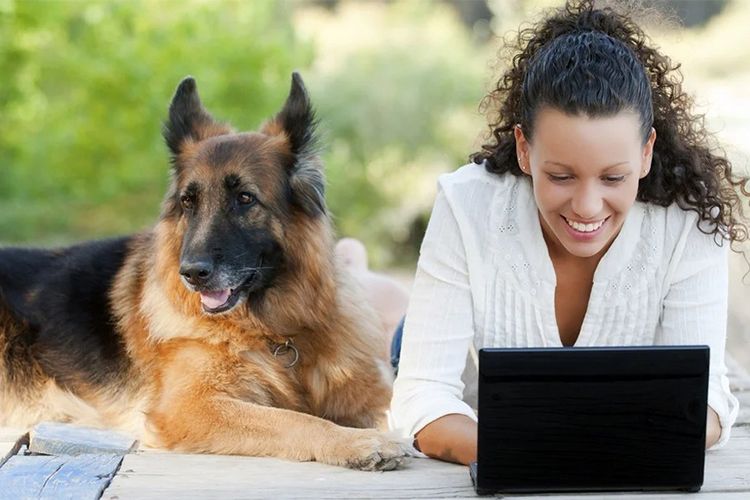 How to Create a Pet Blog that Earns Money.