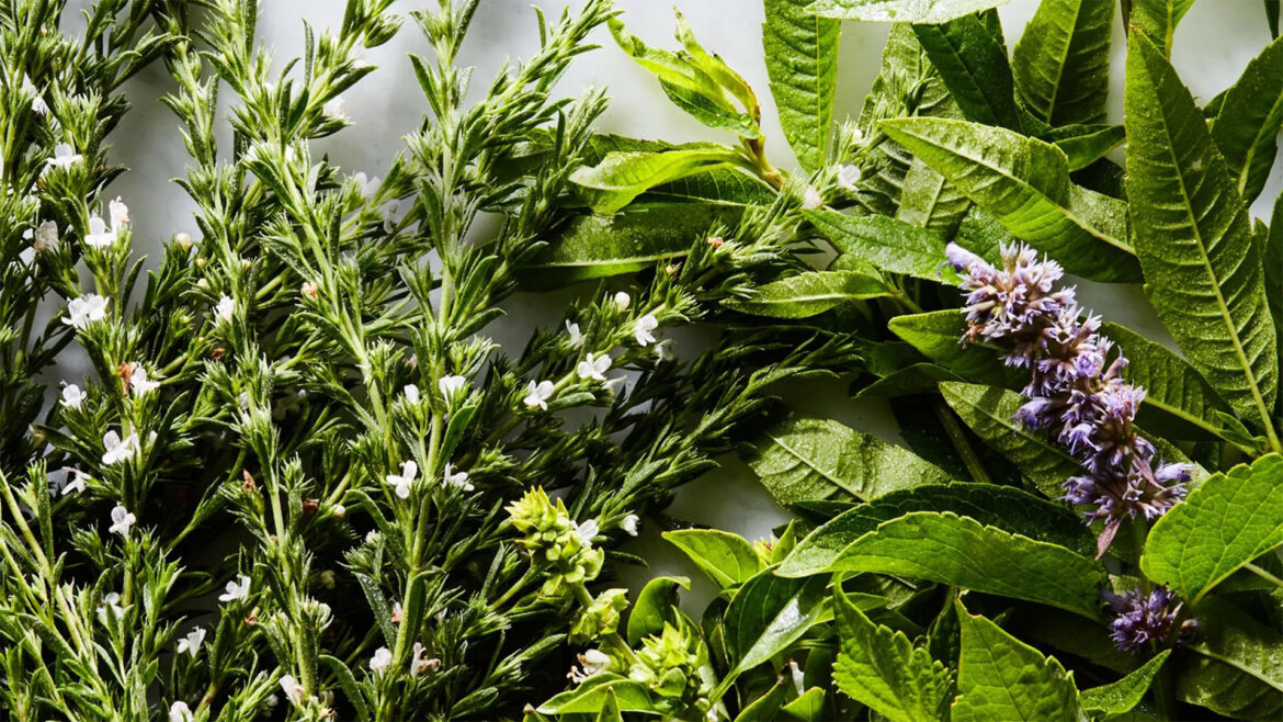 recipes that call for common herbs you may grow in your garden.