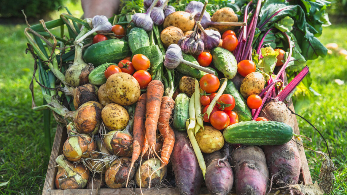 scrumptious summer vegetables to grow.