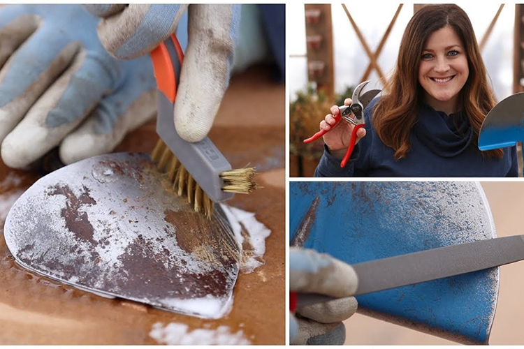 How to Take Care of and Maintain Your Gardening Equipment.