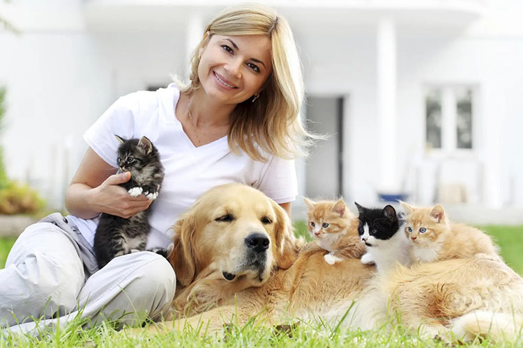 Share 15 things that you’ve learned as a pet parent.