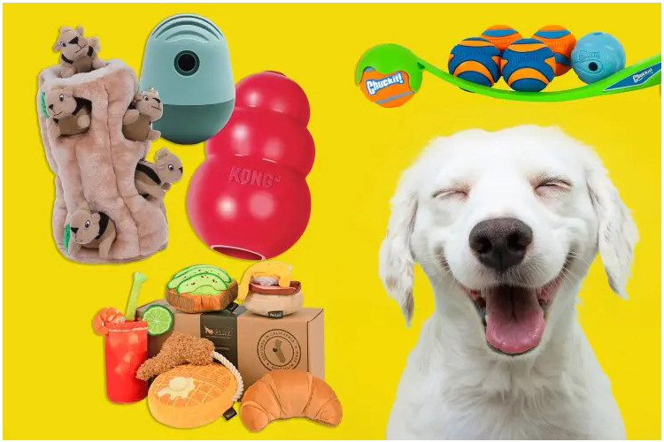 Best Puppy Toys.