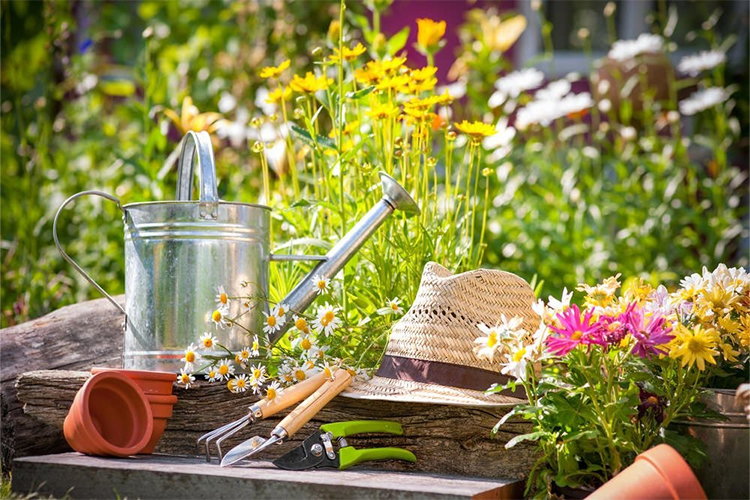 How to Take Care of and Maintain Your Gardening Equipment.