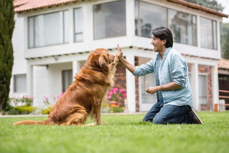 Share 15 things that you’ve learned as a pet parent.