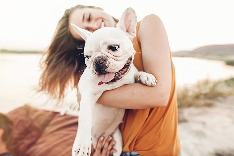 How to Choose the Best Pet Sitter for Your Dog.