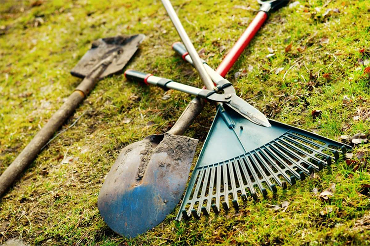 How to Take Care of and Maintain Your Gardening Equipment.