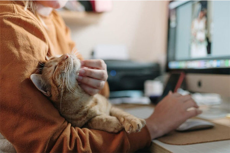 Share 15 things that you’ve learned as a pet parent.