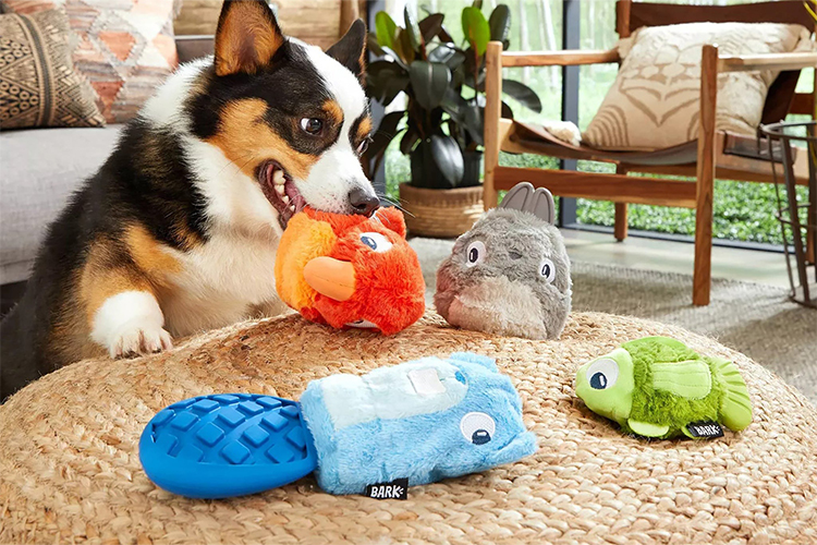 Best Puppy Toys.