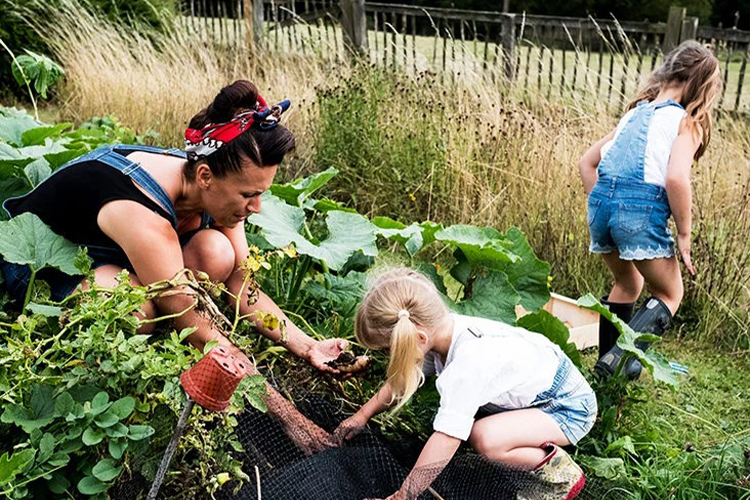 How to take care of a basic vegetable garden.