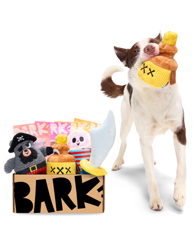 Barkbox Featured Image 2