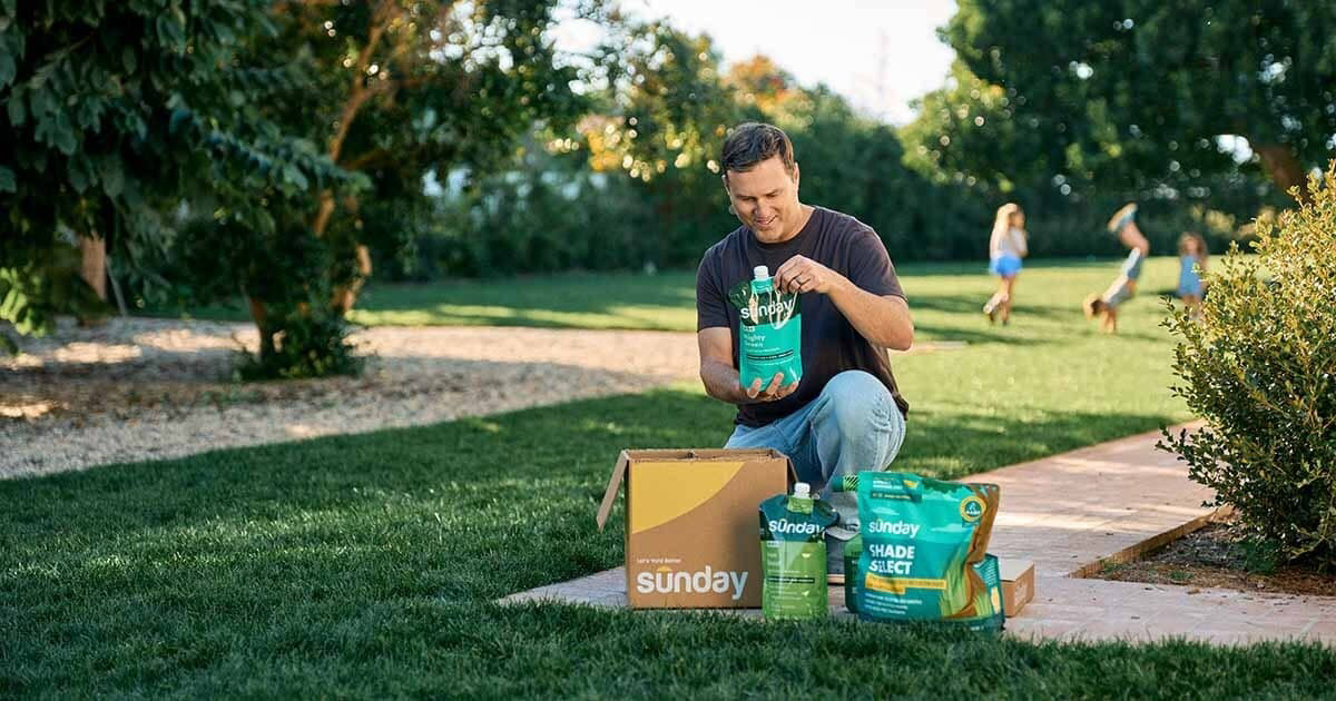 Sunday Lawn Care Review Is This Custom Yard Plan Worth It